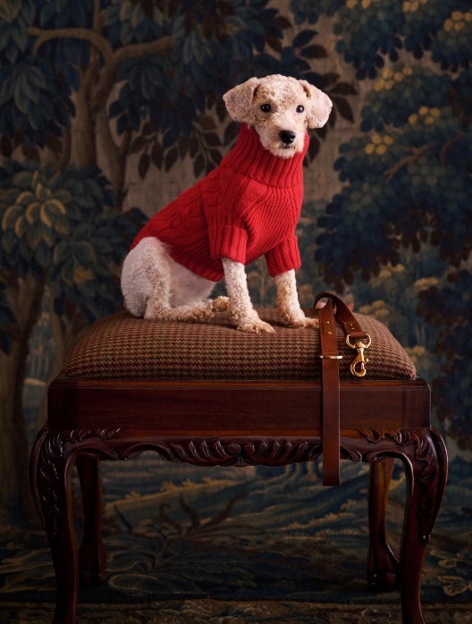 Ralph Lauren | Men's, Women's, & Kids' Clothing - Home Decor