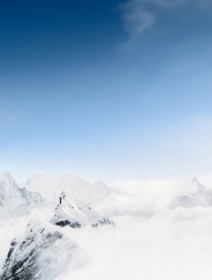 The Custom Polo  Made to Order