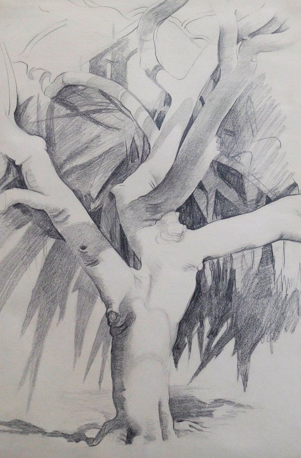 Georgia O&rsquo;Keeffe&rsquo;s graphite drawings of Bermuda&rsquo;s banyan trees