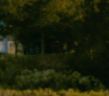 Mobile Banner