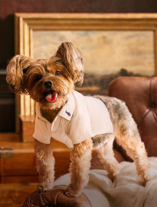 Wyatt Triple Nut Bowl | Ralph Lauren