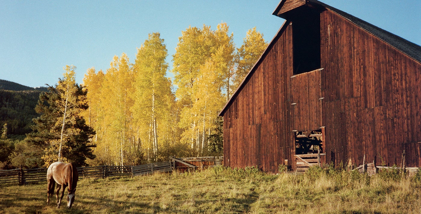 RL Mag Western Wonder