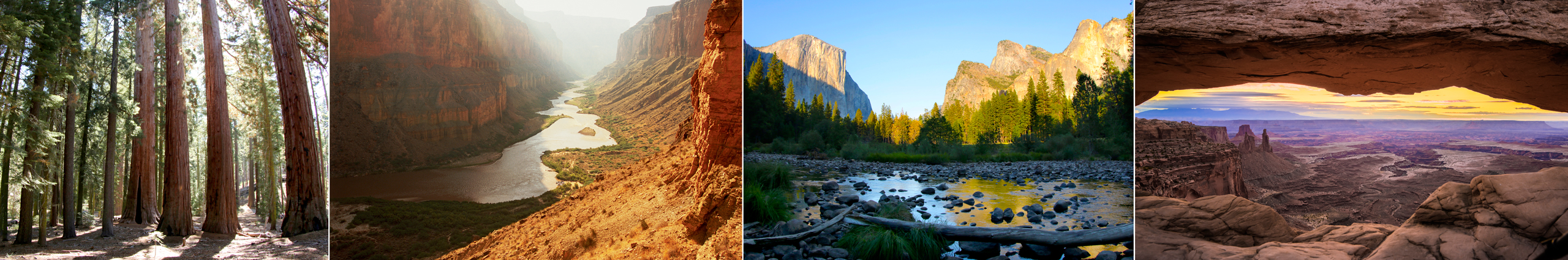 Left to right: Views of the sequoias at Yosemite National Park, the Colorado River at the Grand Canyon, Cathedral Rocks at Yosemite, and the Mesa Arch at Canyonlands National Park