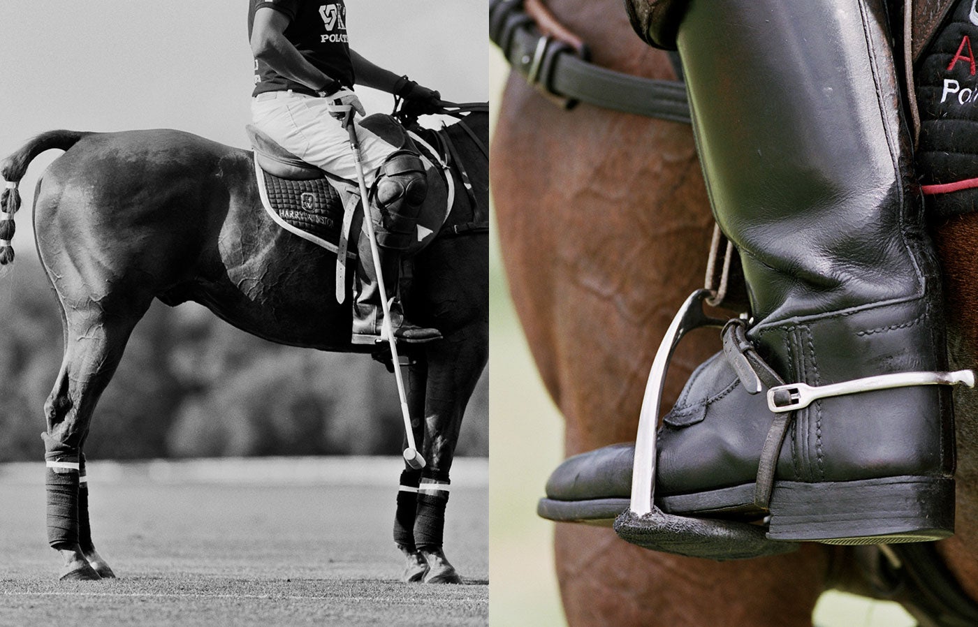 Ralph lauren equitation 2025