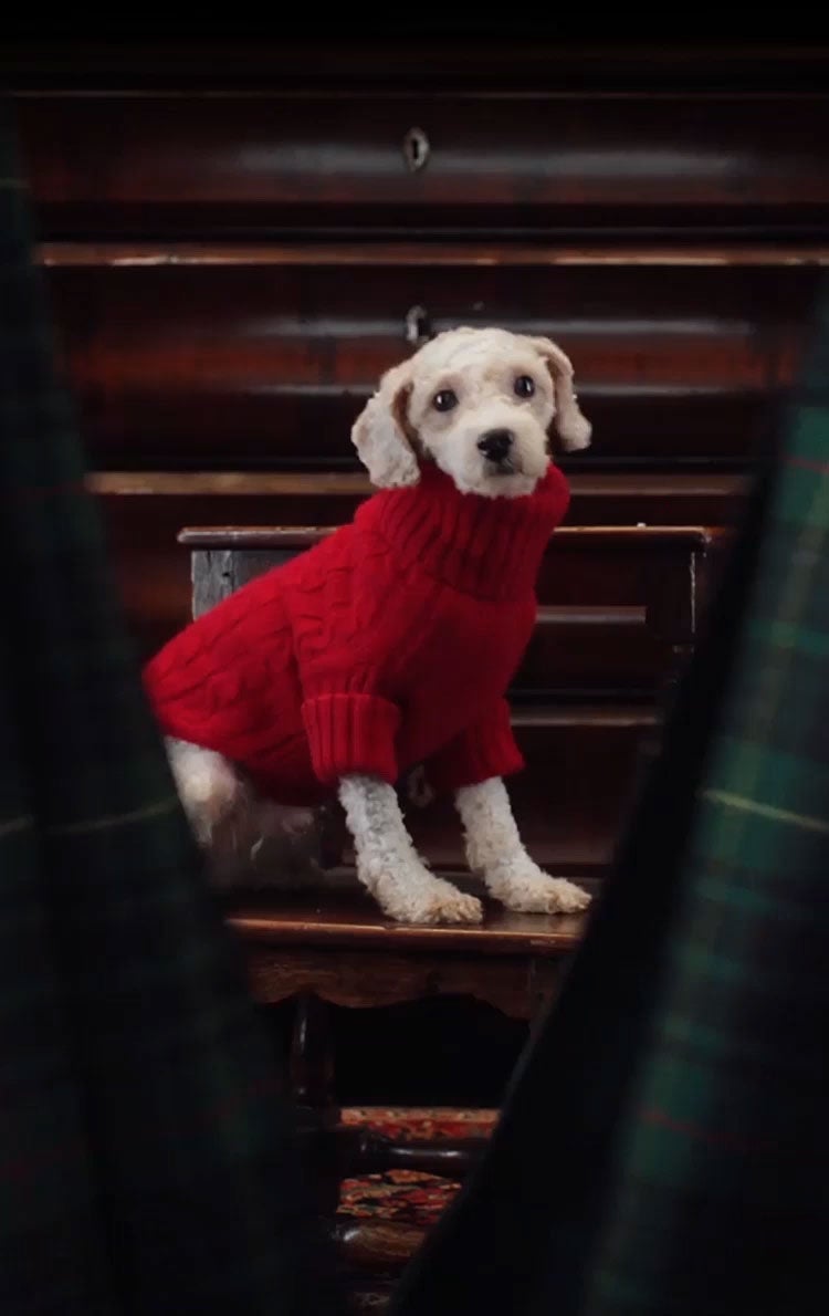 Ralph lauren dog coats sale