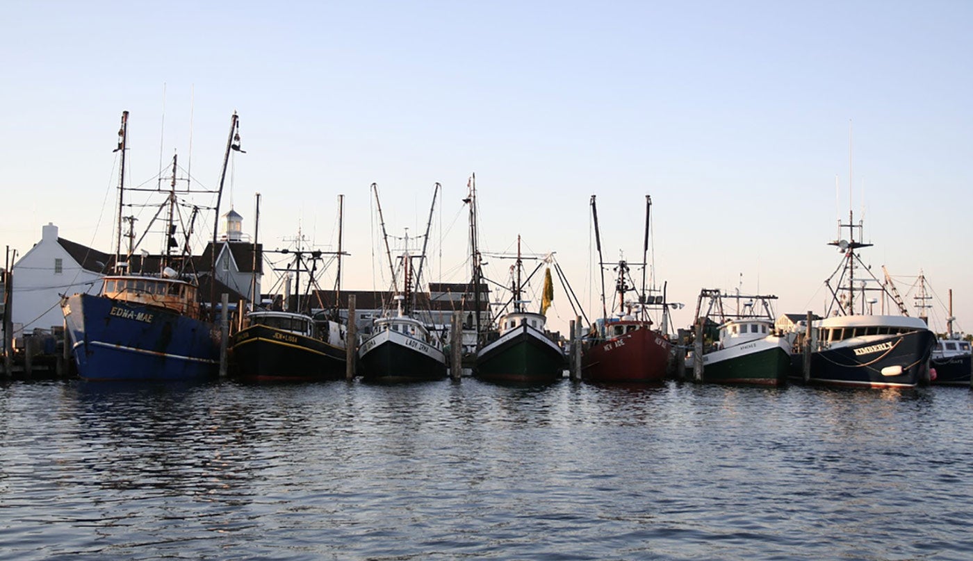 Montauk is the largest fishing port in New York state