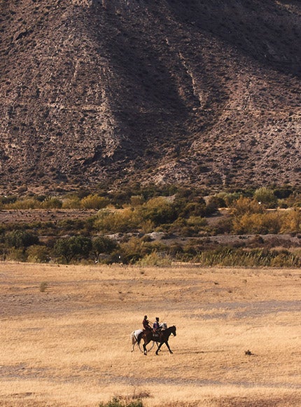 palace ralph lauren sizing