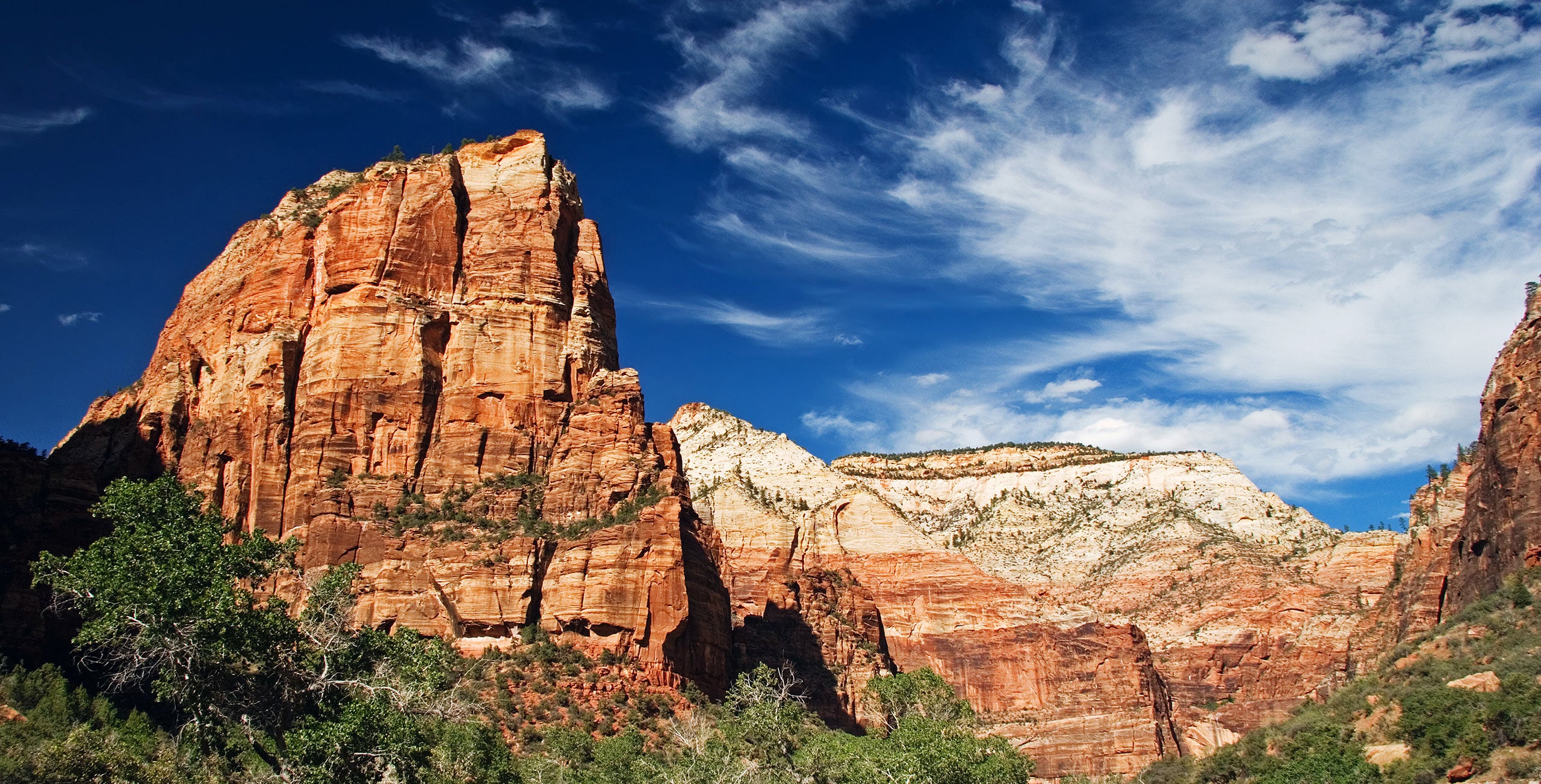 <span>Zion National Park, established in 1919</span>