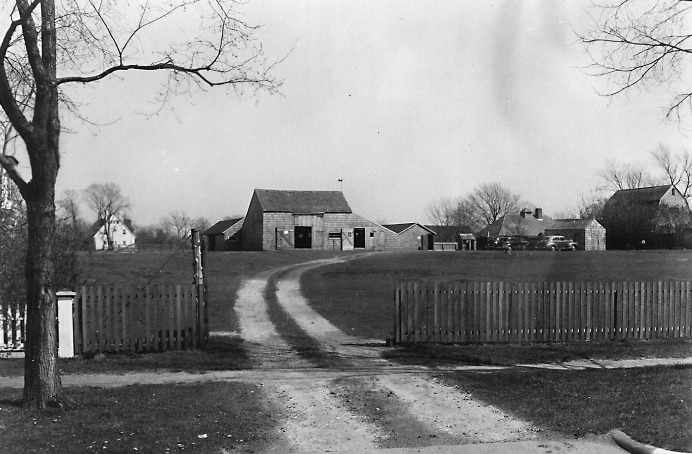 A view of the farm from James Lane in 1947