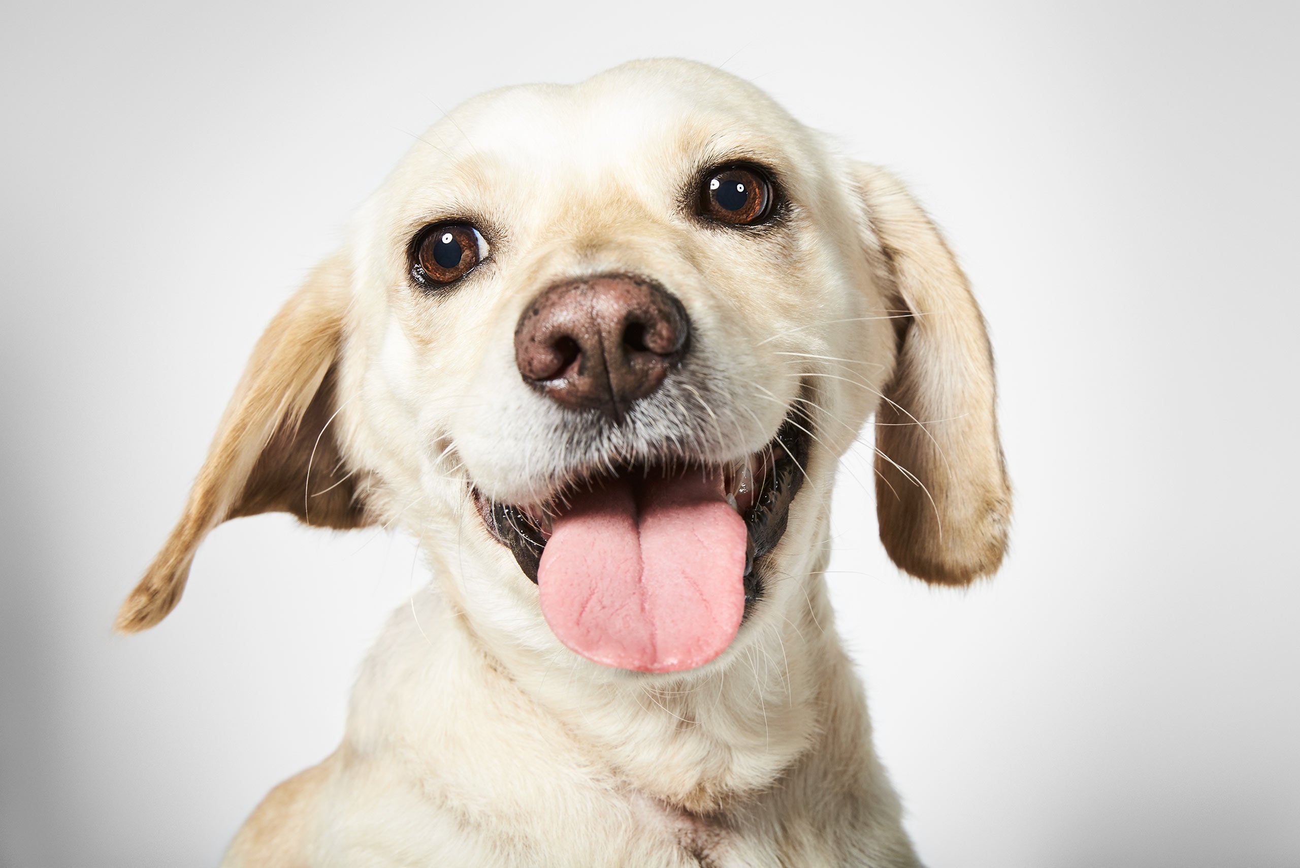 Cosita