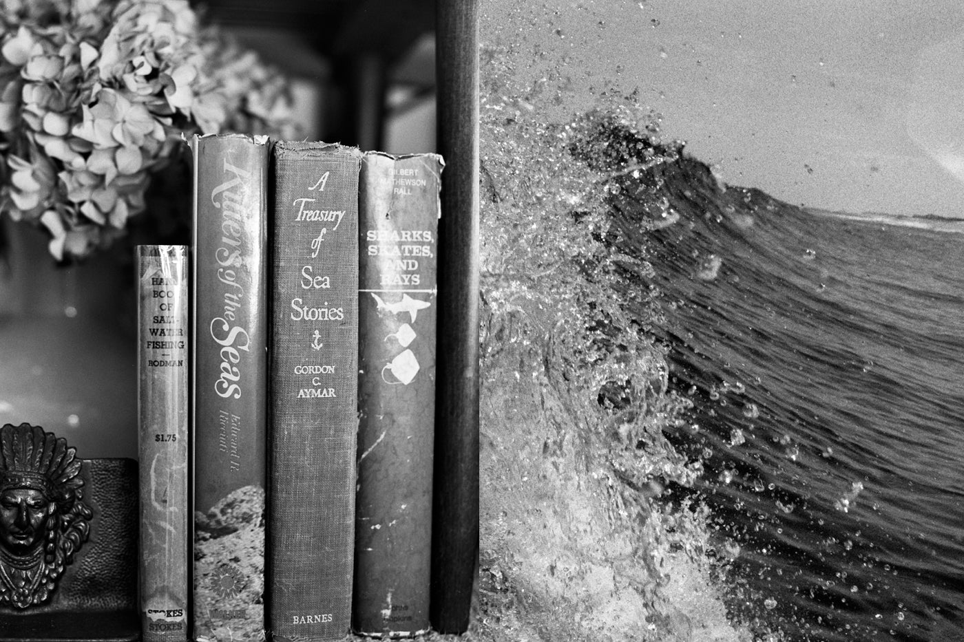 <span>Always in the sea, whether buried in a book or in the ocean</span>