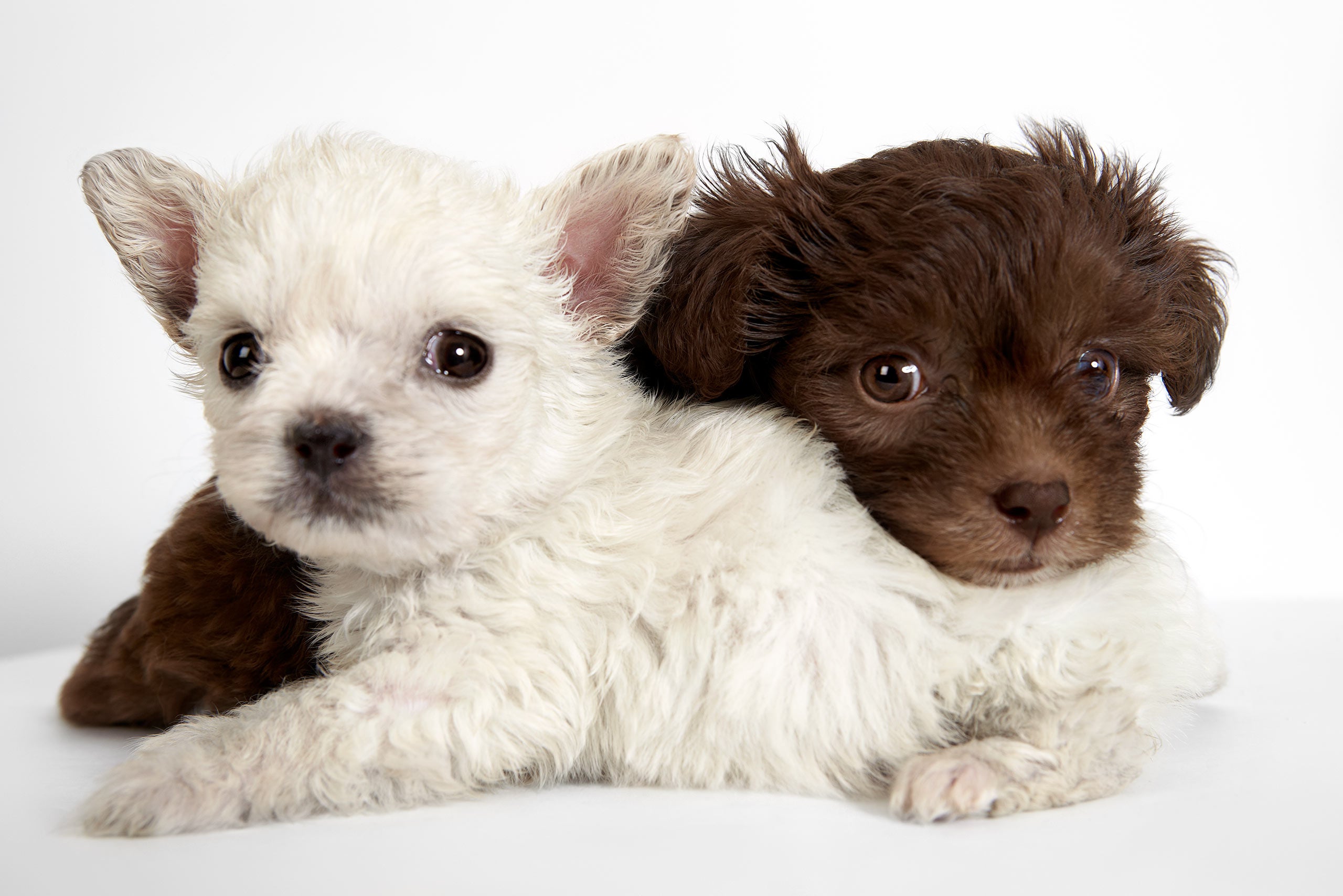 Kaylee and Maddie