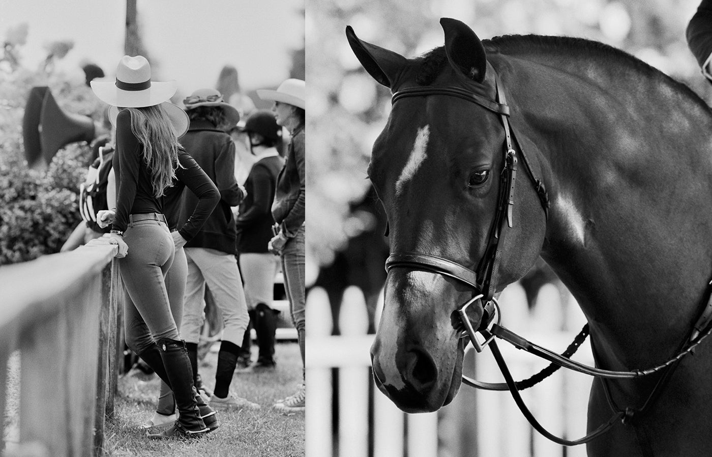 The Hampton Classic Horse Show