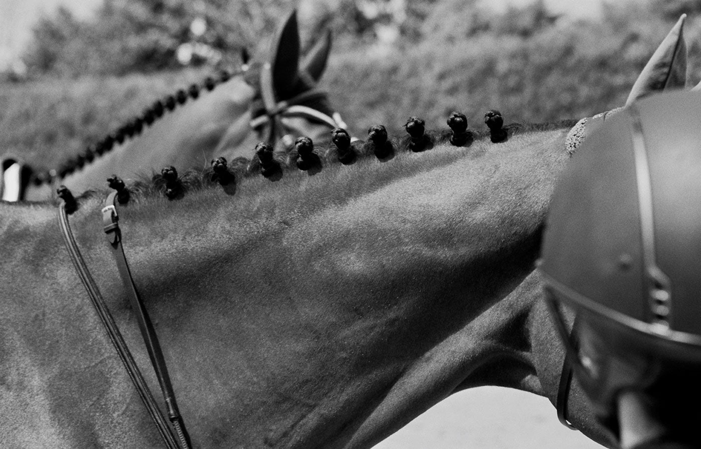 The Hampton Classic Horse Show