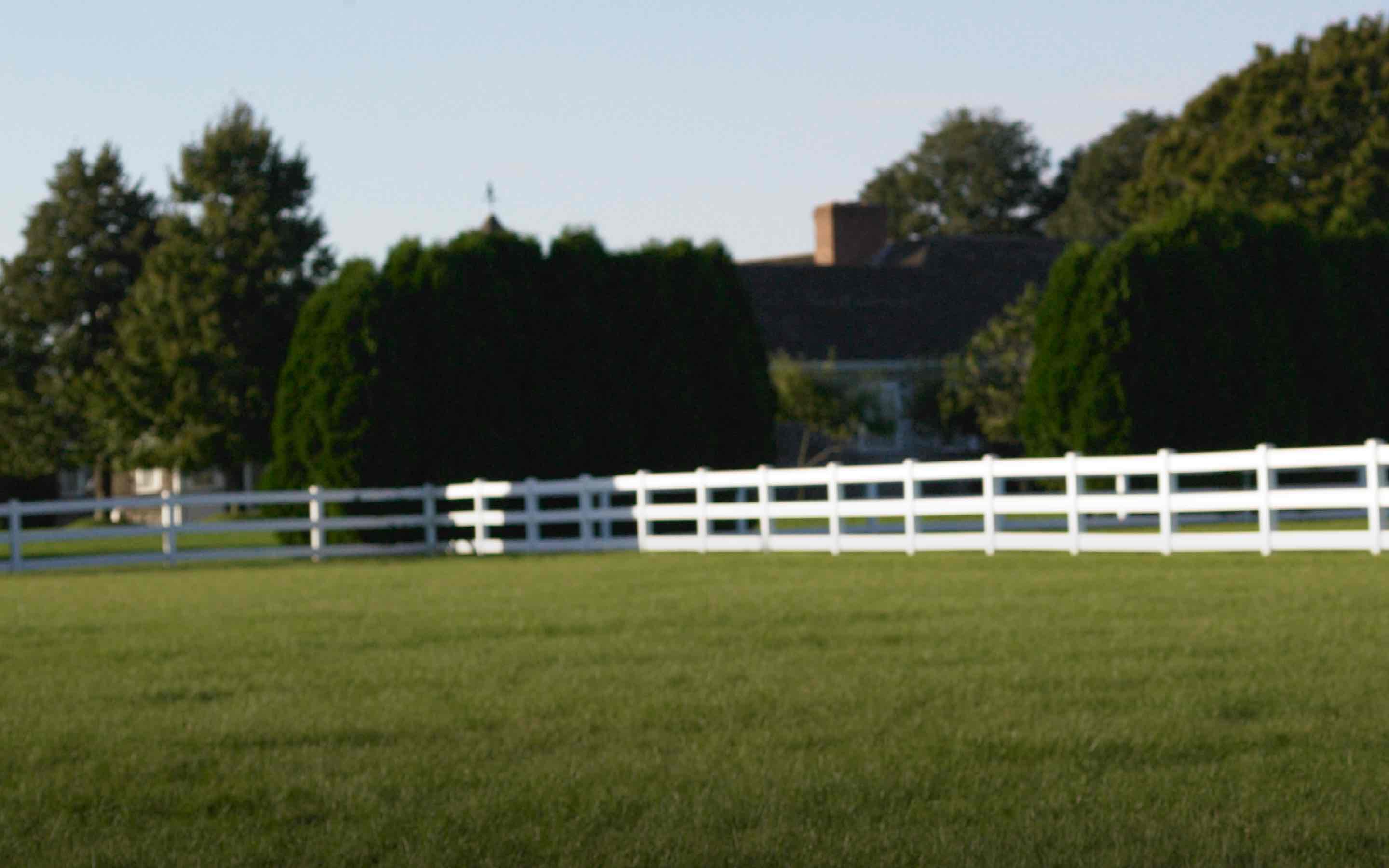 Slider of various equestrian Polo shirts