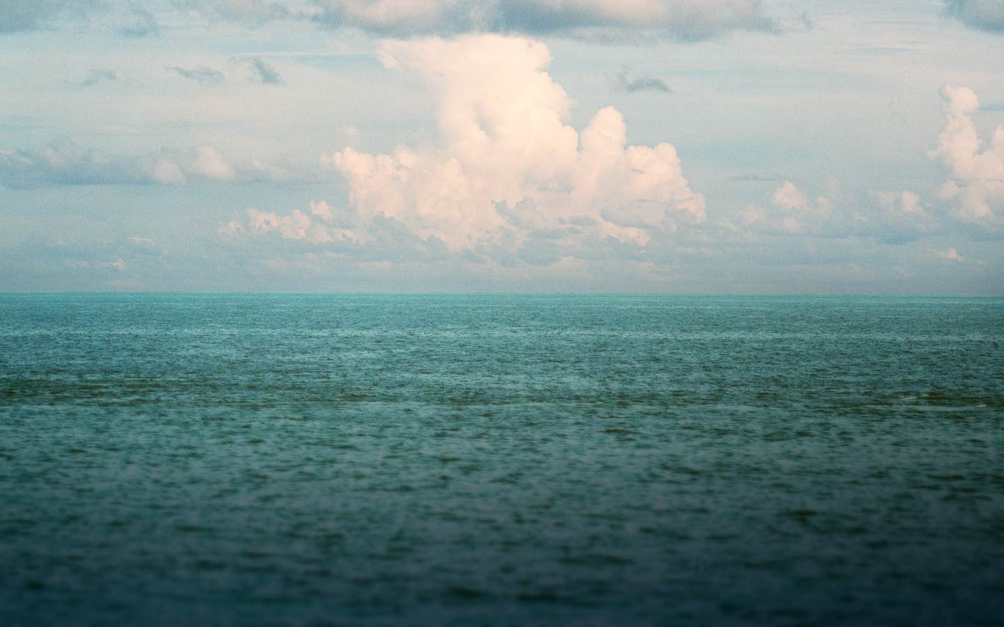 Slider of sailing-inspired Polo shirts